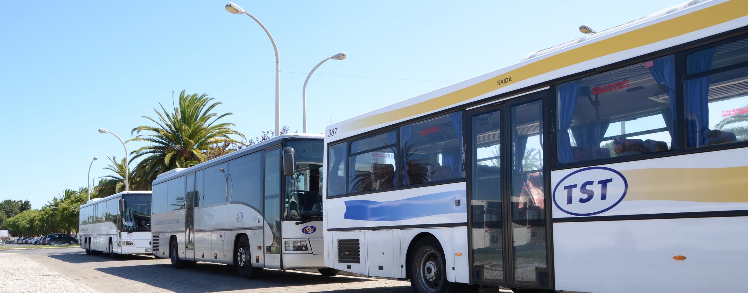 Informação à População - Reforço nas carreiras de transporte público no Montijo