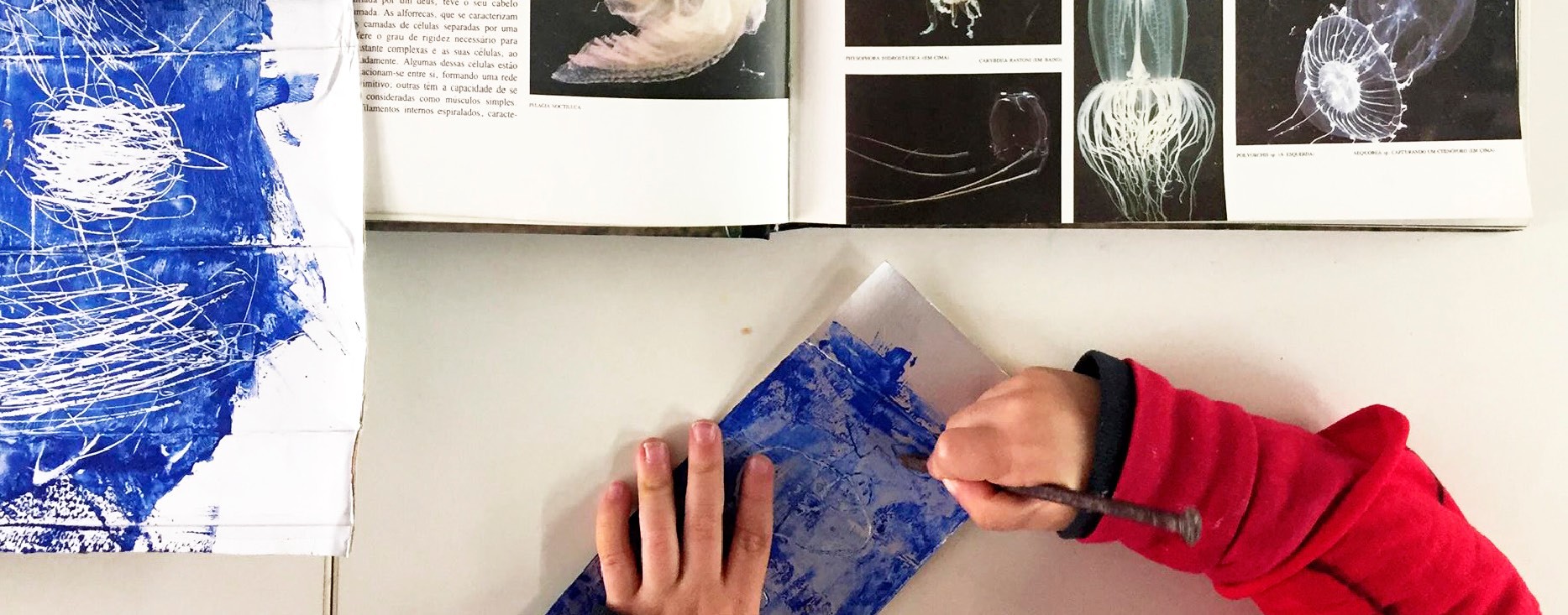 Era uma vez uma esponja do mar...