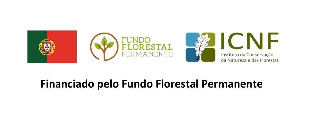Aprovada a candidatura ao Fundo Florestal Permanente- Defesa da Floresta Contra Incêndios