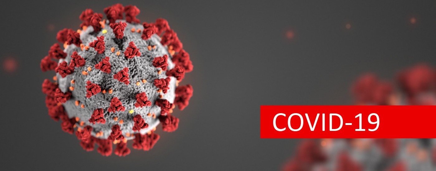 COVID-19 \\ Gabinete de Crise