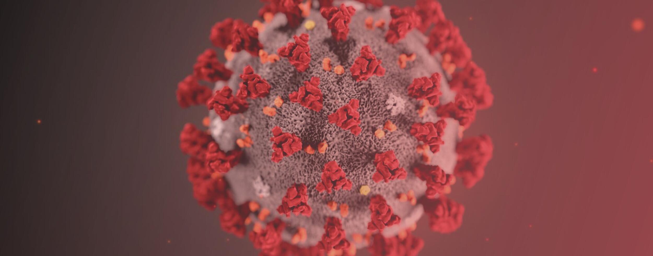 Centros de Saúde com Áreas Dedicadas para doentes COVID-19