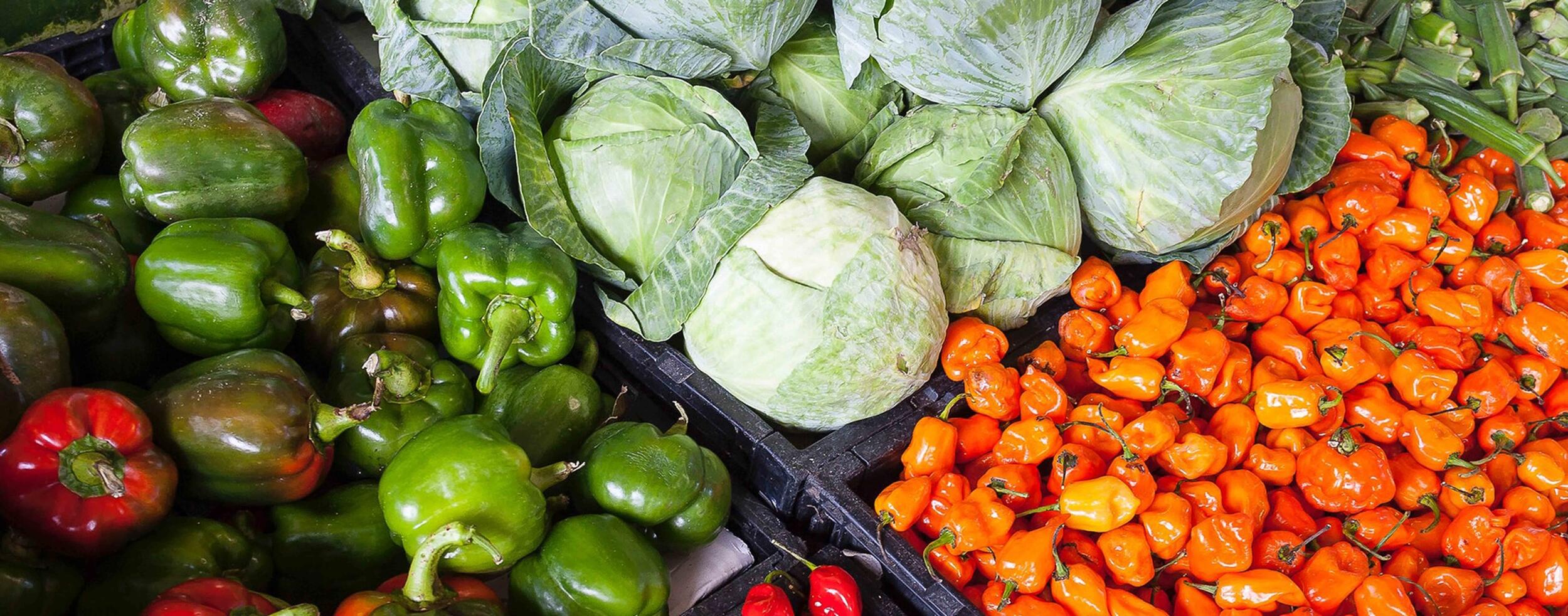 Recomendações  DGS - Distribuição de Alimentos