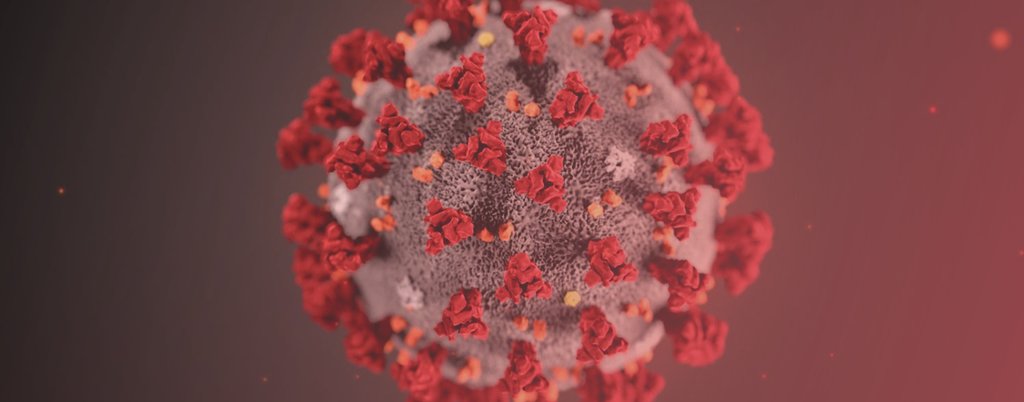  Atribuição dos apoios de caráter extraordinário, temporário e transitório