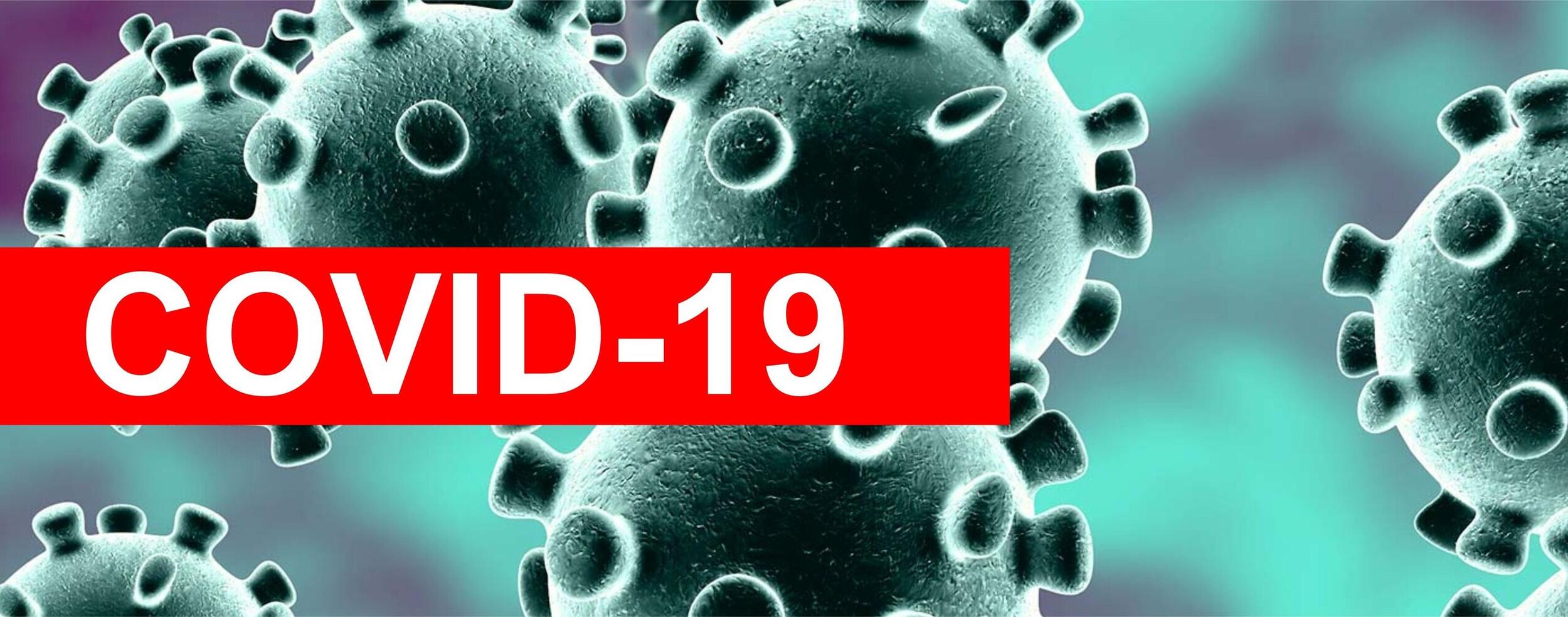 Covid-19 \\ Realizados testes nos lares de idosos privados