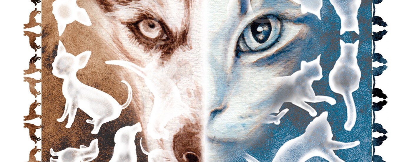 Exposição "Cartadas de Cães e Gatos" (c/vídeo)