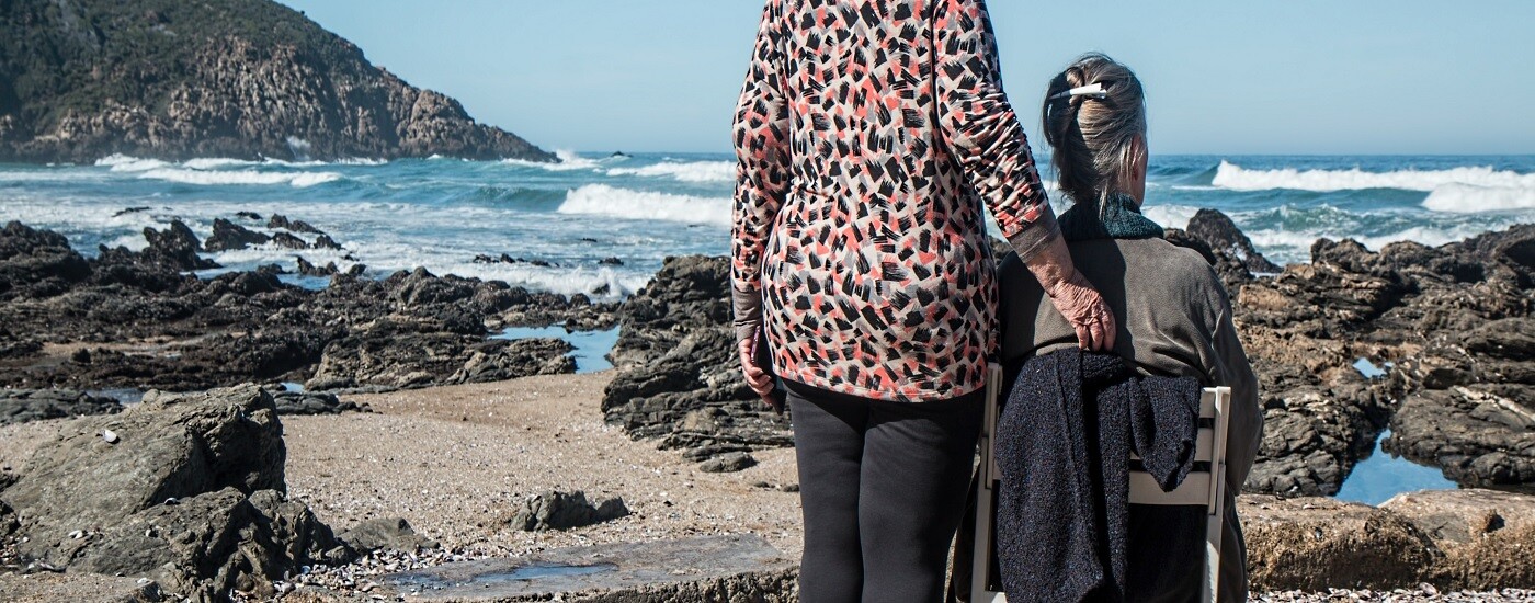 Formulário online, na Segurança Social Direta - Estatuto do Cuidador Informal.