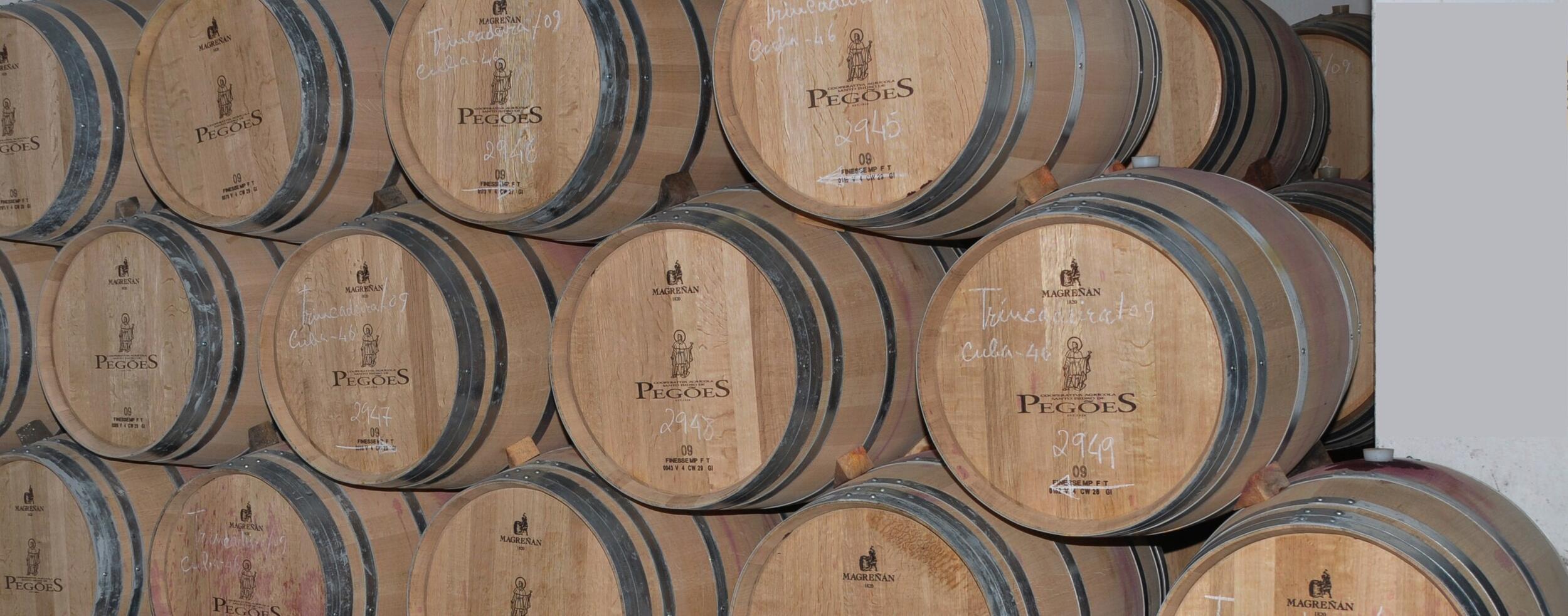 Adega de Pegões é ouro em Bruxelas