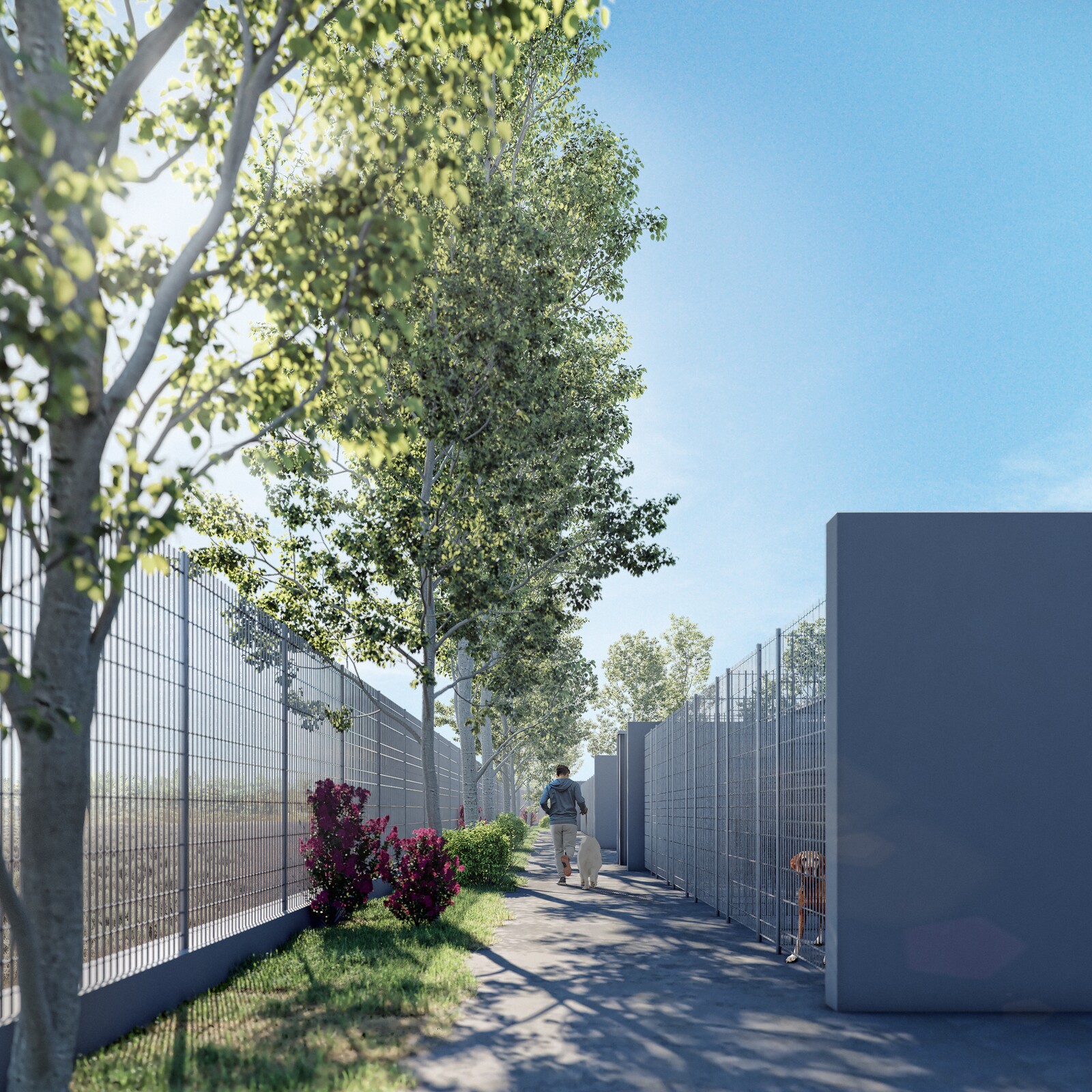 Regulamento Municipal do Animal do Município do Montijo