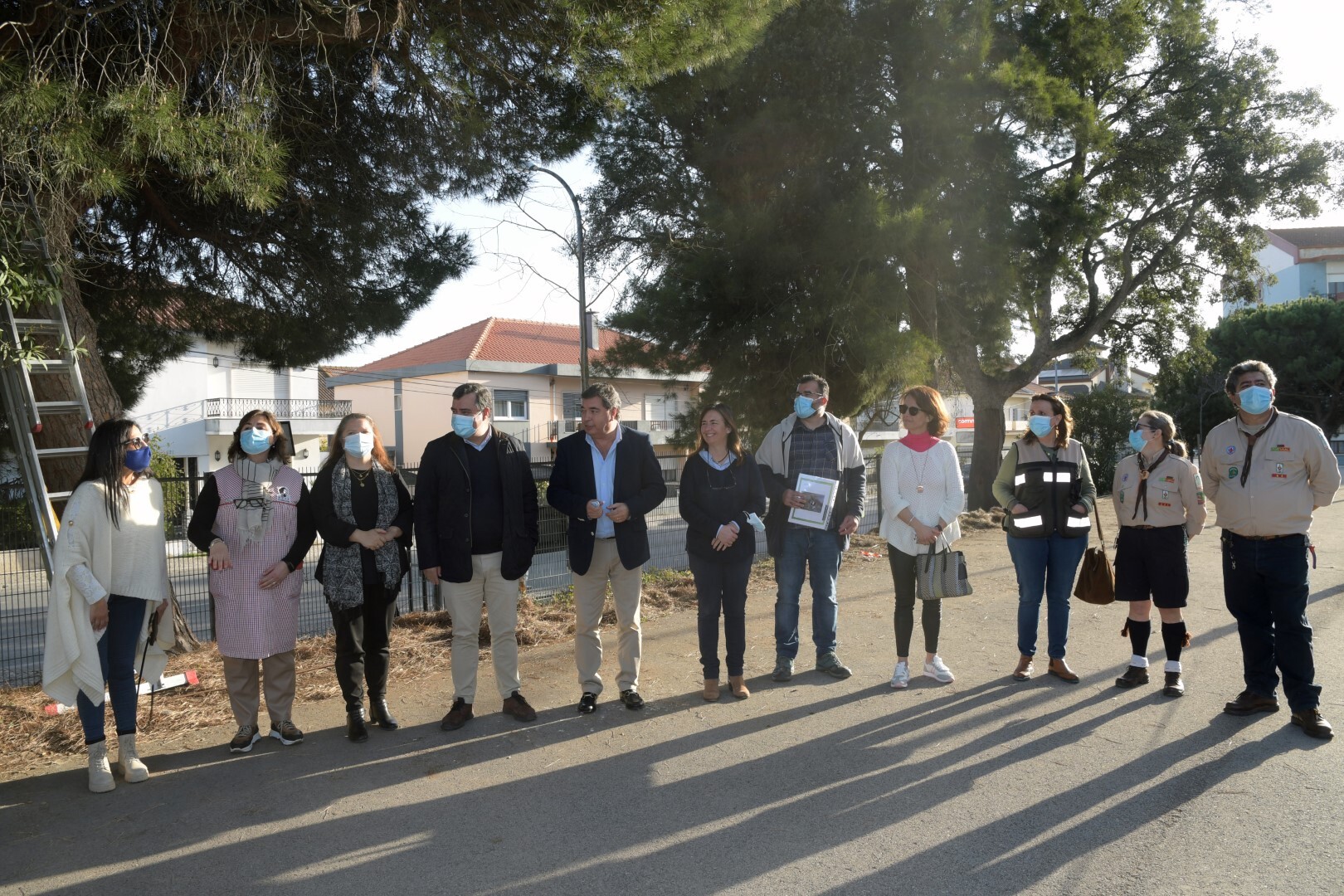 Primeiros ninhos contra a lagarta do pinheiro já foram colocados