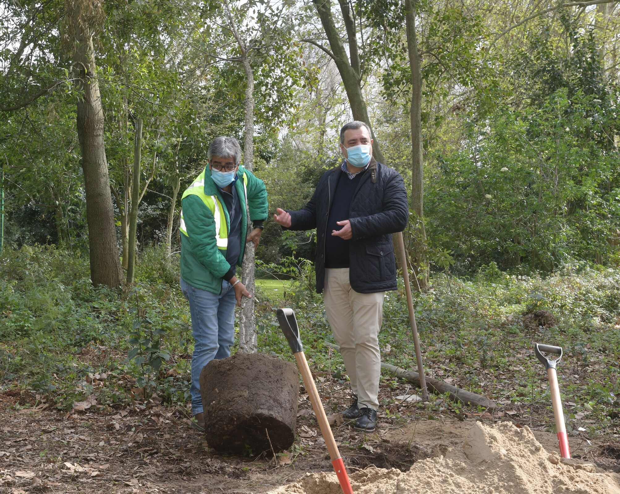 Parque Municipal recebe Sobreiro no primeiro dia de primavera