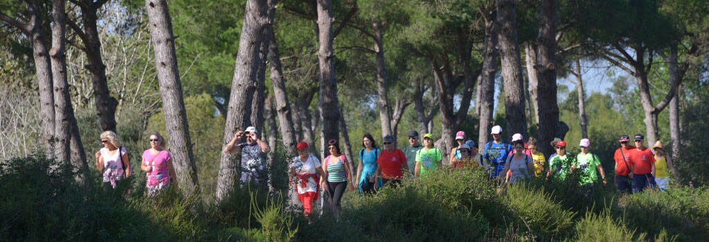 Passeio Pedestre PR2 Canha 2022