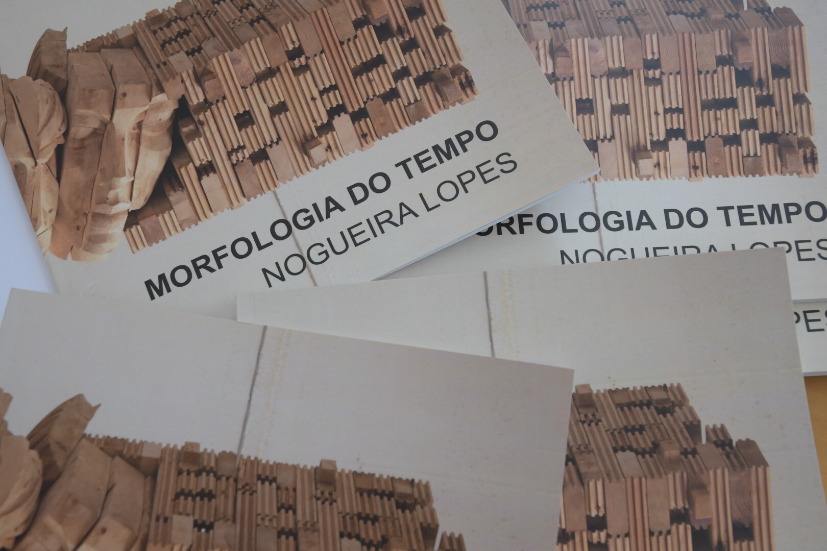 Inauguração da mostra Morfologia do Tempo: escultura Nogueira Lopes