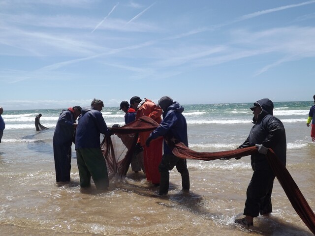 ADREPES – Estratégia MAR 2030 – Participação e Envolvimento das Comunidades Locais