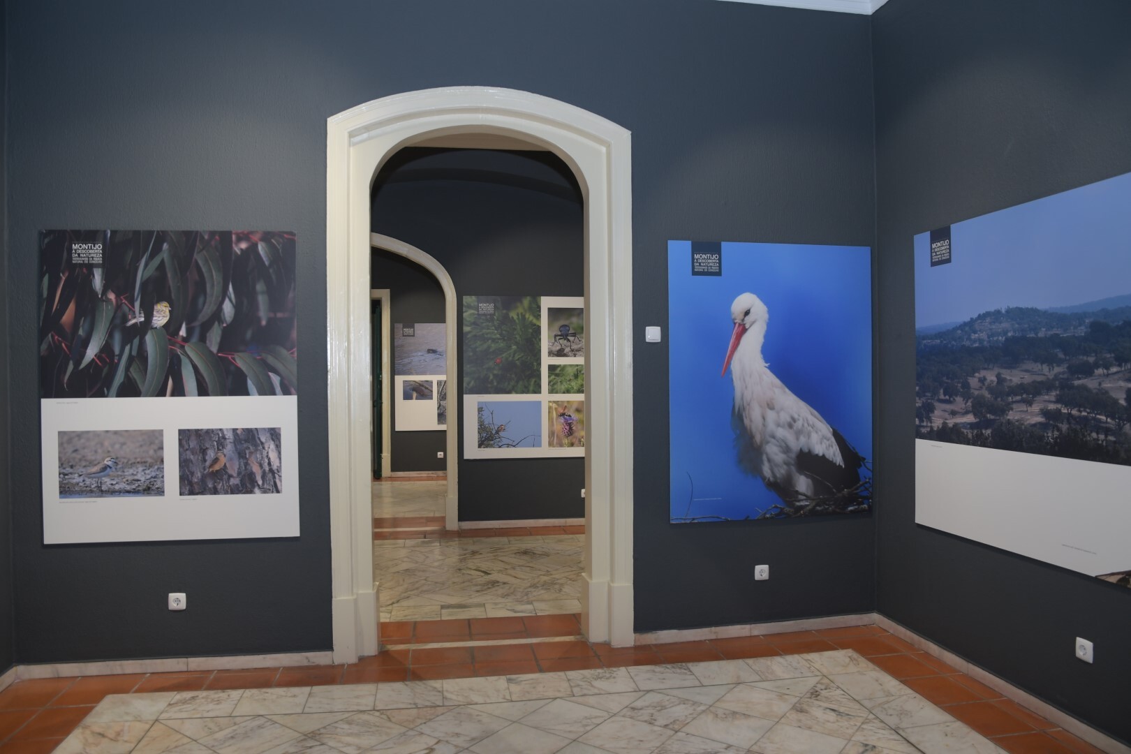 Inaugurada mostra da biodiversidade do concelho do Montijo