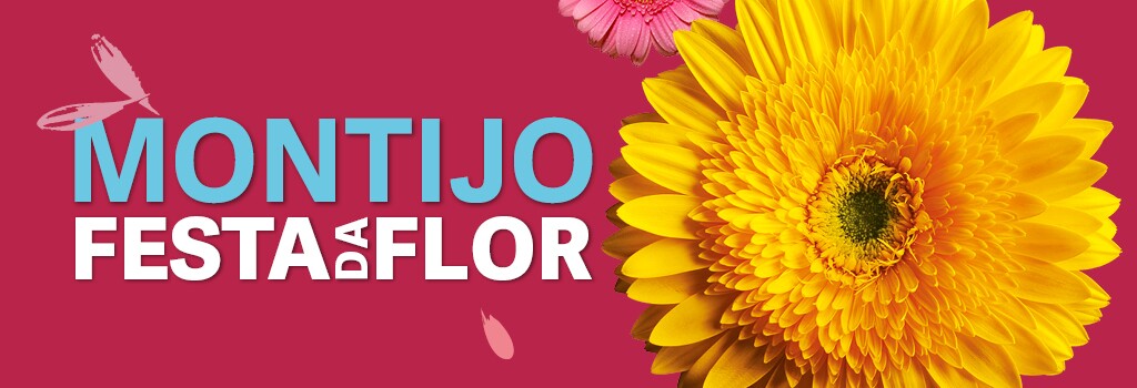 Festa da Flor volta de 26 a 28 de Maio- Inscrições Abertas