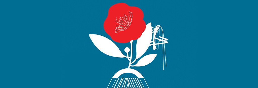 Dia Internacional do Livro Infantil 