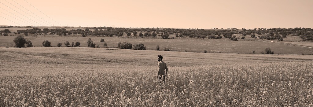 A Minha Terra - Uma História sobre o Colonato