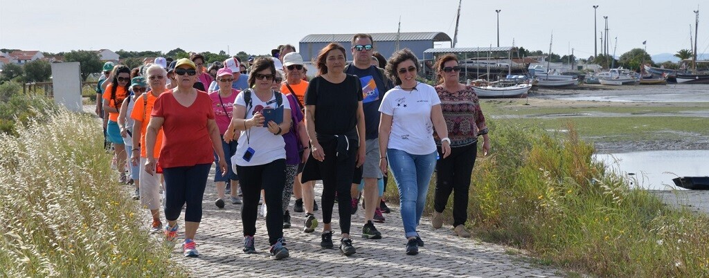 Rota das Gerberas 2023 junta amantes da caminhada