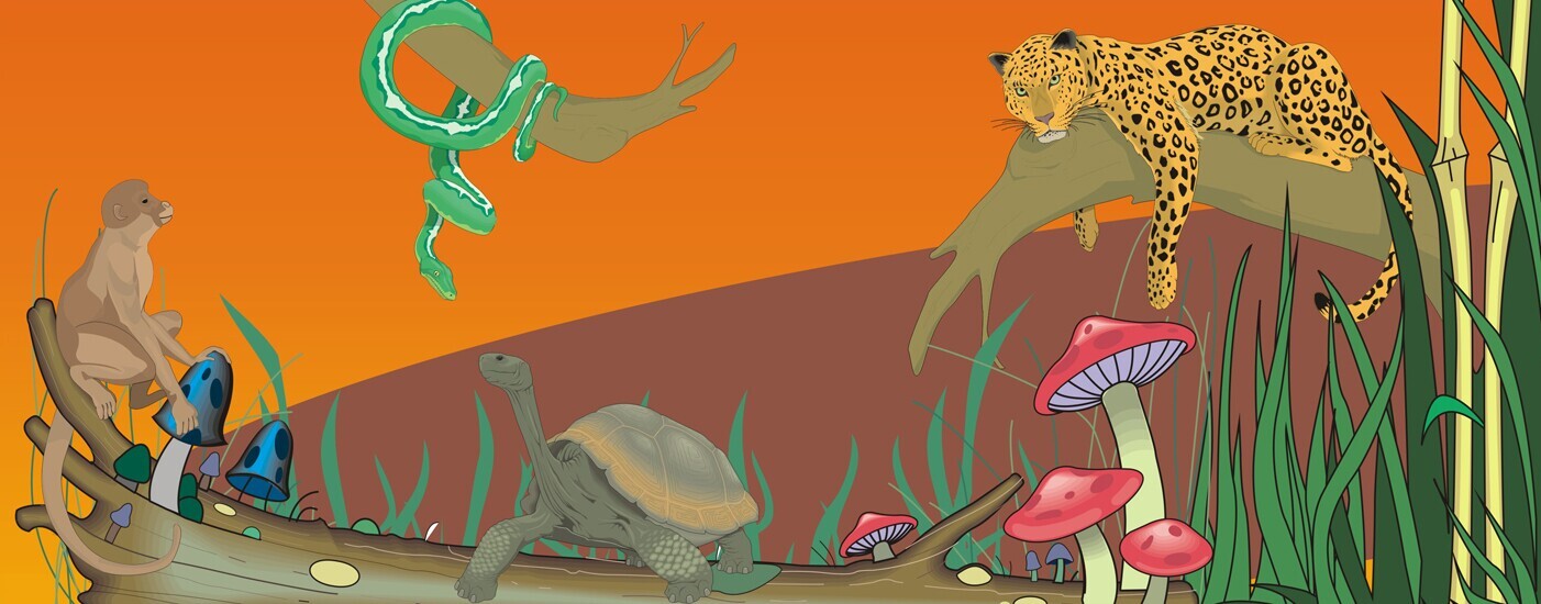 Hora do Conto 1,2 3... Um Conto de Cada Vez 