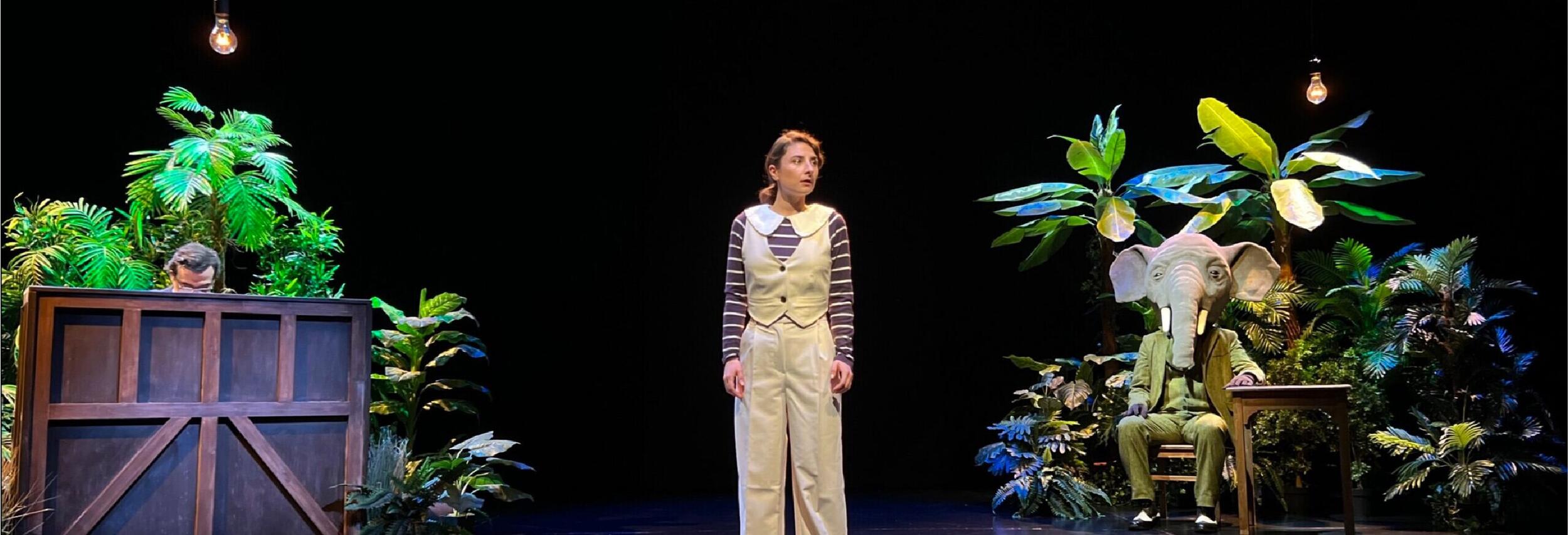 Babar invade Casa da Música