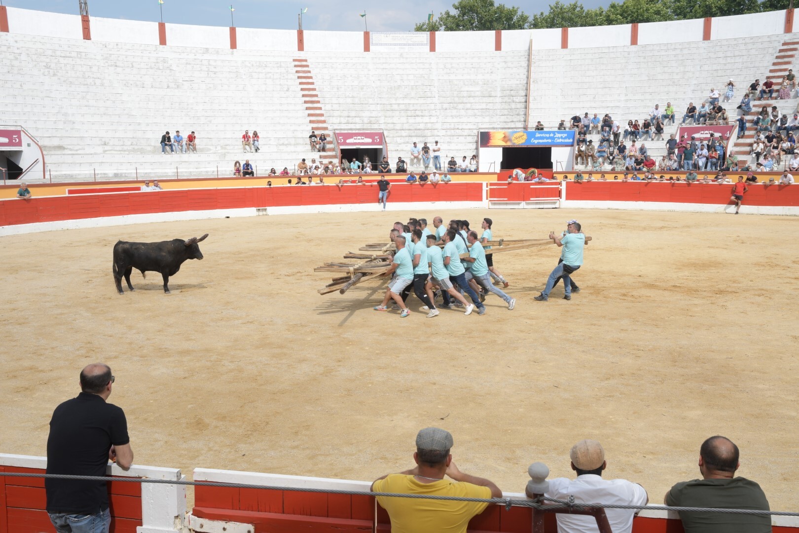 Festa Sabugalense no Montijo