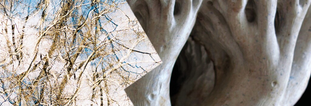 Pedra e luz: exposição de escultura e fotografia na Galeria Municipal