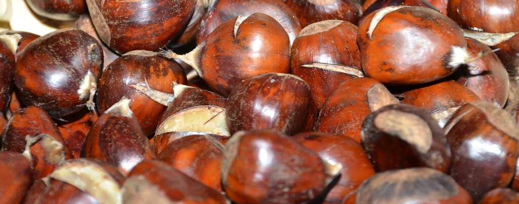 São Martinho na Sociedade Recreativa Atalaiense