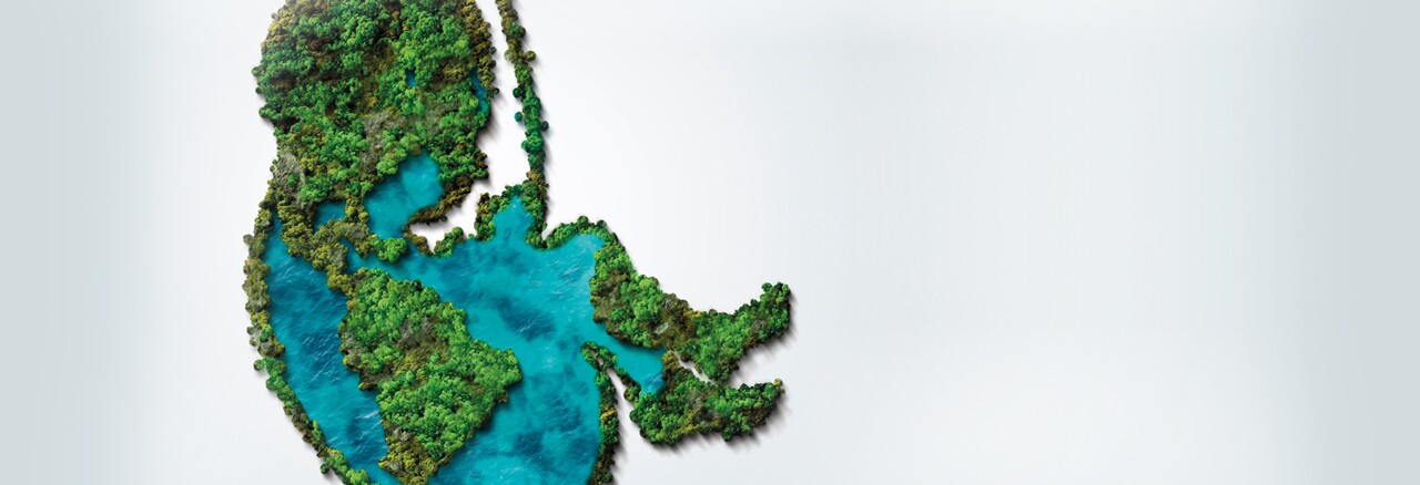 Entregue os medicamentos fora de prazo nas farmácias a parafarmácias 