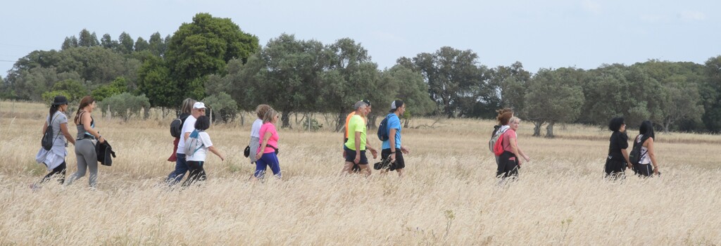 Rota das Gerberas 2024 [desporto]