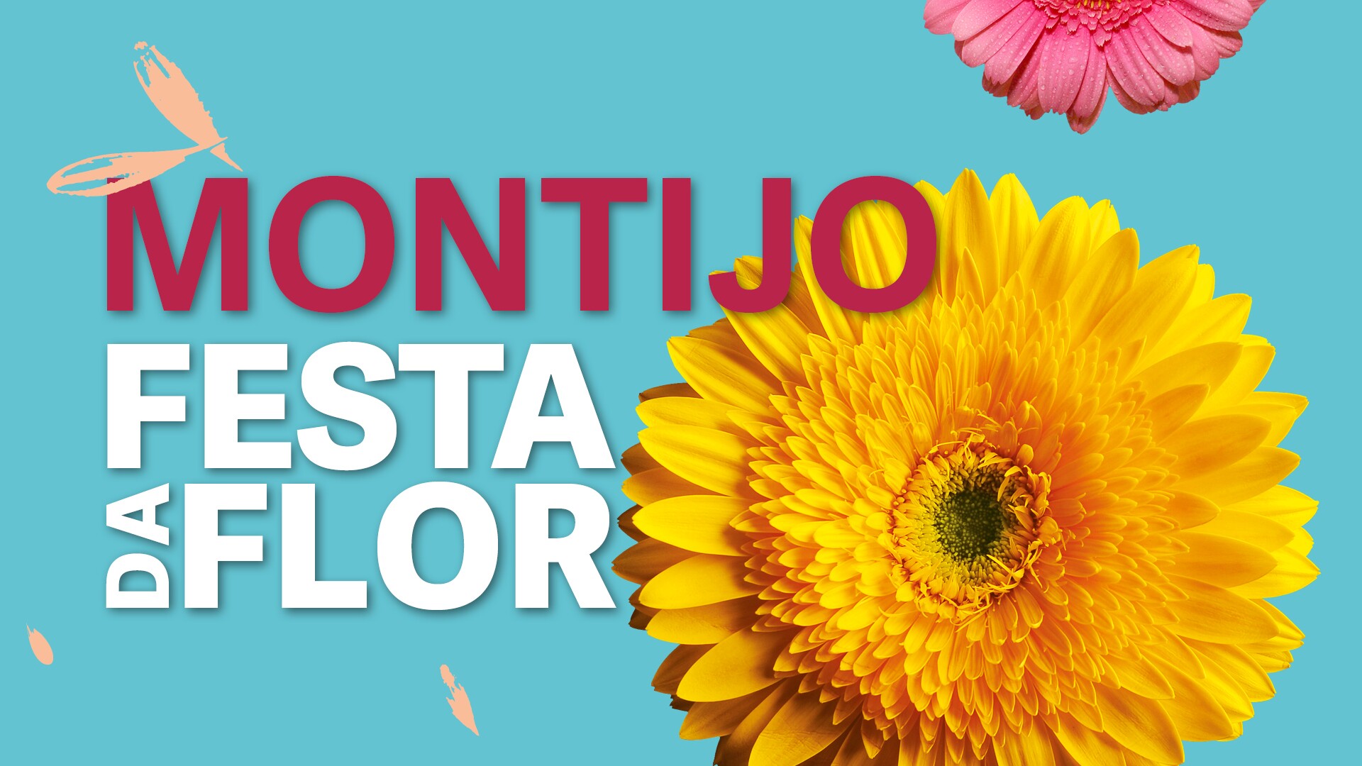 Montijo em Flor