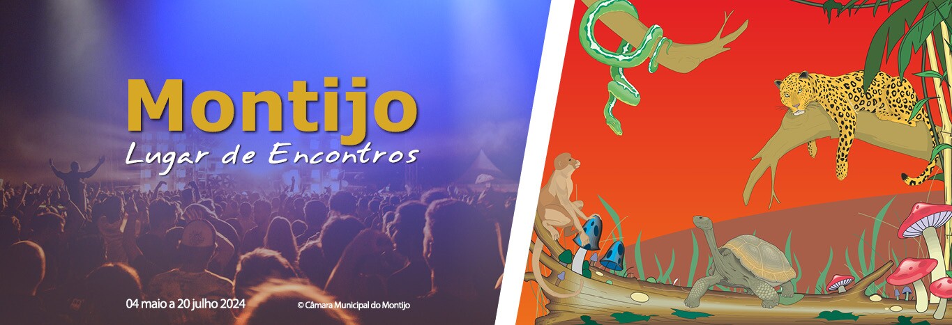 O Kibongo - Atividade para a Infância no Parque Municipal  
