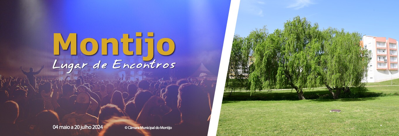 Este sábado no Jardim do Vale Salgueiro: Condição Física em Circuito