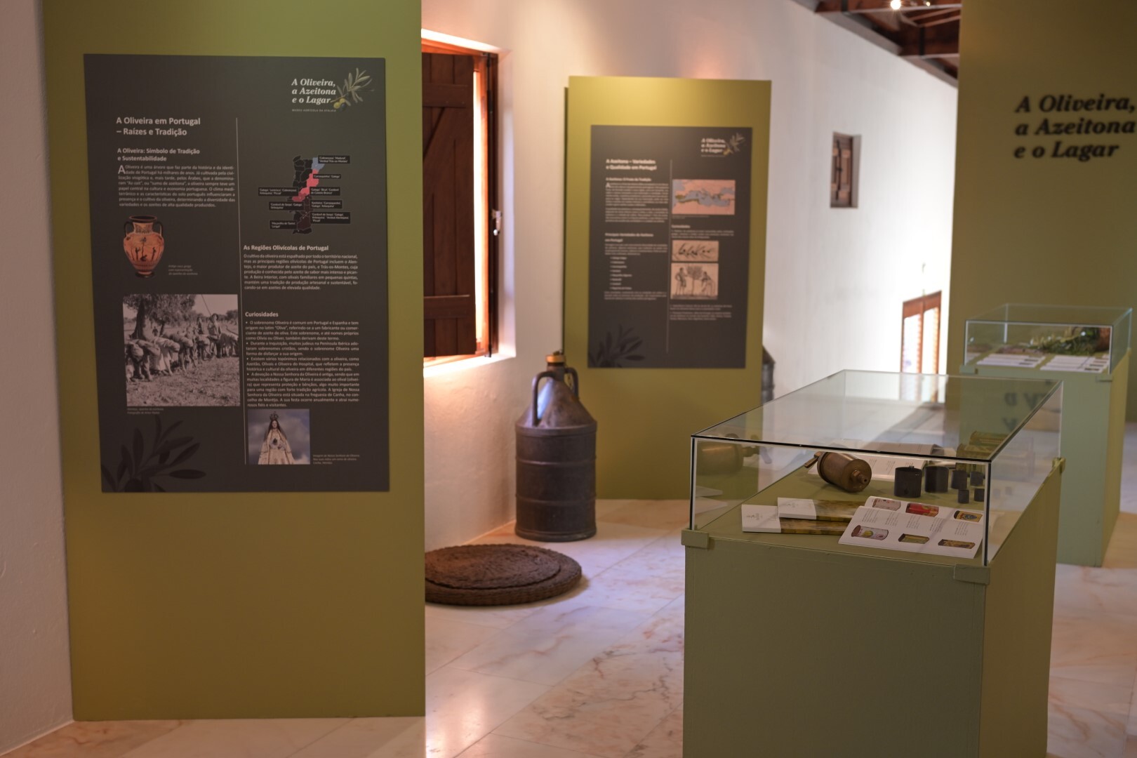 Inauguração da exposição “A Oliveira, a Azeitona e o Lagar”
