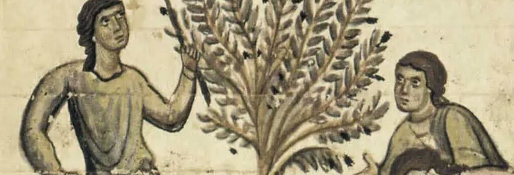 Caça ao Tesouro no Museu Agrícola da Atalaia