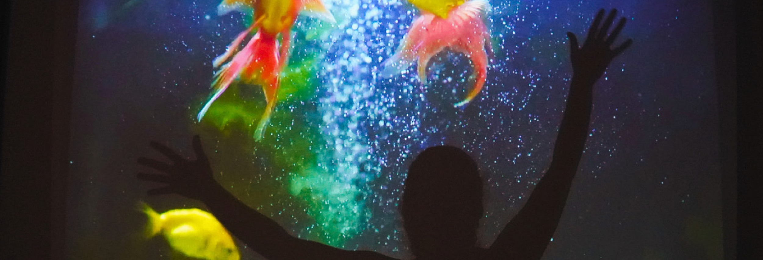 "Ano 2200": Teatro para a Infância na Casa da Música