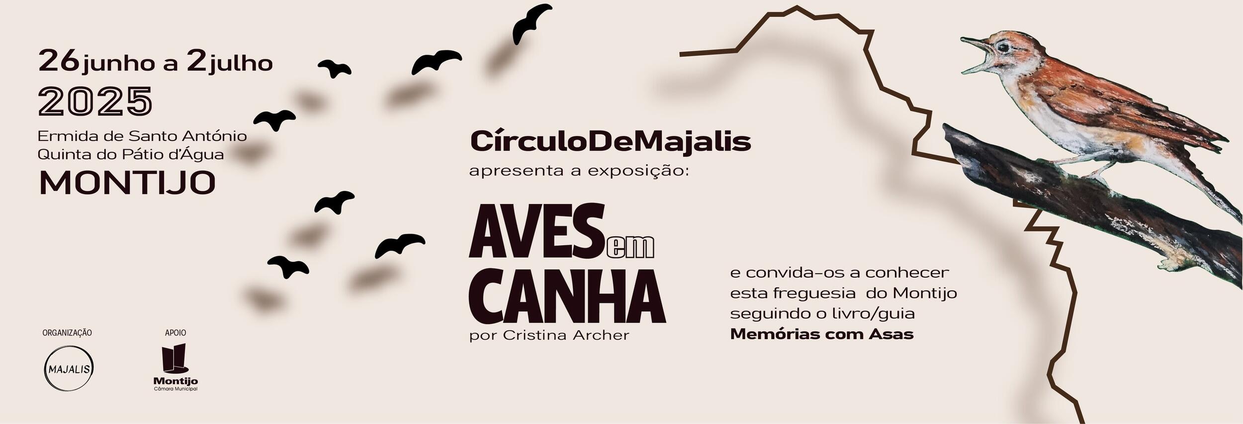 Exposição “Aves em Canha” dá asas à memória e à identidade local