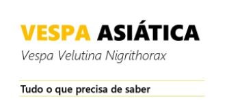 Vespa Asiática: Saiba Como Identificar e Agir