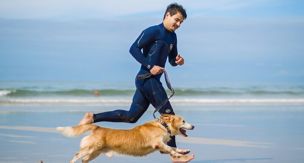 Desenha o Cão/Gato que Encontrou um Lar! – Oficina Criativa no Museu Casa Mora