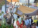 Festas Populares em Honra de São Jorge