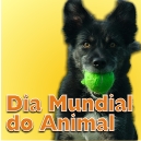 Montijo recebe I Encontro Inter CLDS e CLDS+