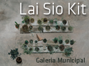 “Visto de cima - From Above”: exposição de pintura de Lai Sio Kit