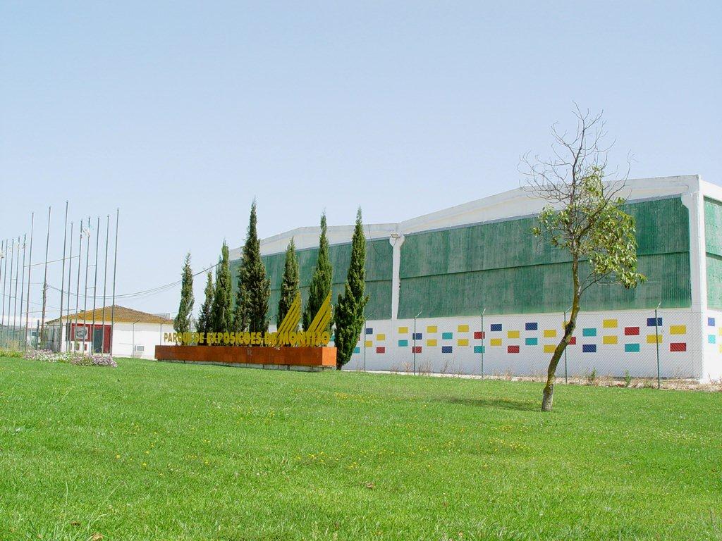 Master Shooters Montijo 2013