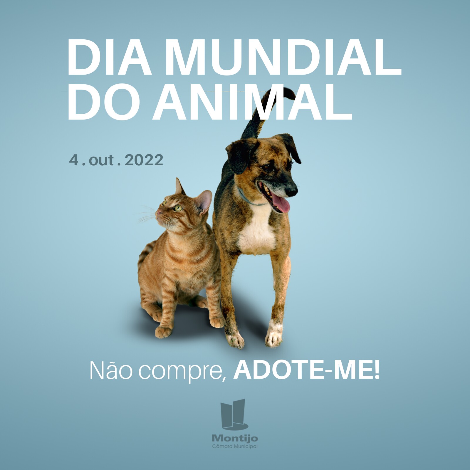 animal 1080x1080 copiar