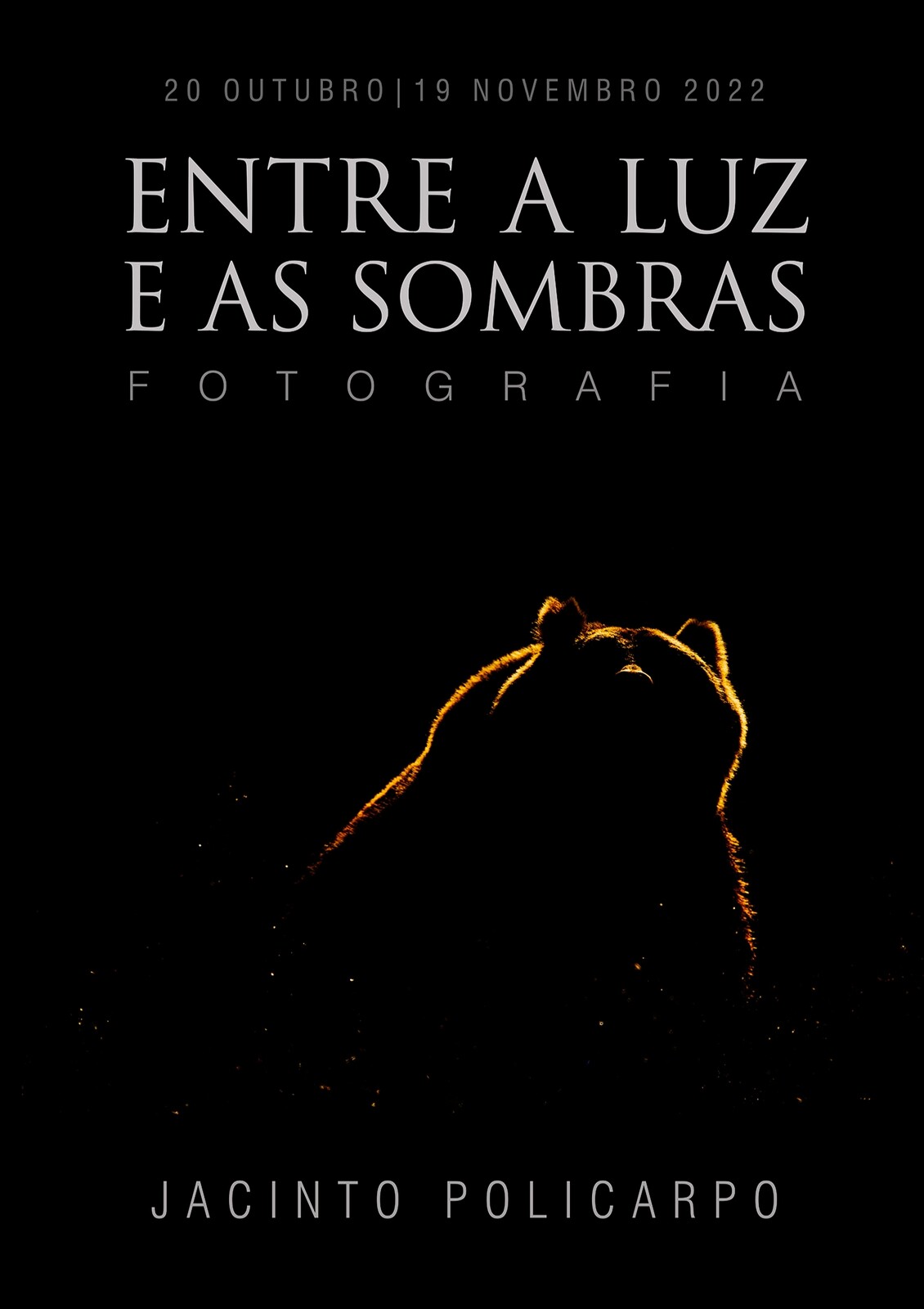 Exposi&ccedil;&atilde;o Jacinto Policarpo_ (002)