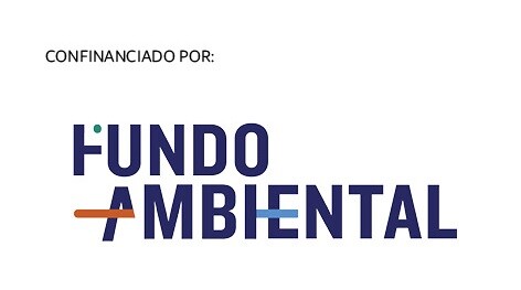 Fundo Ambiental 1
