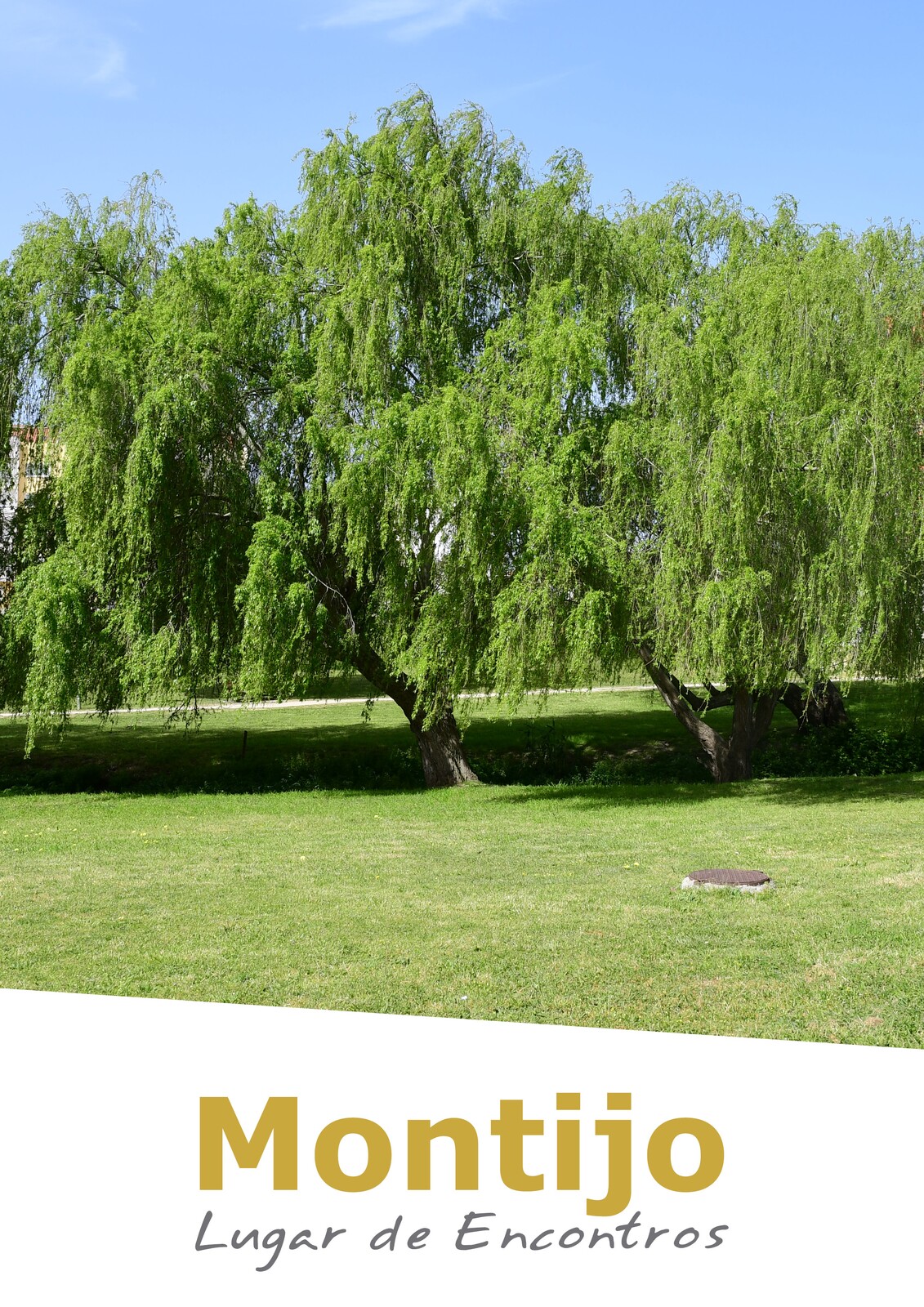 13 jul Condi&ccedil;&atilde;o F&iacute;sica em Circuito 600x849px