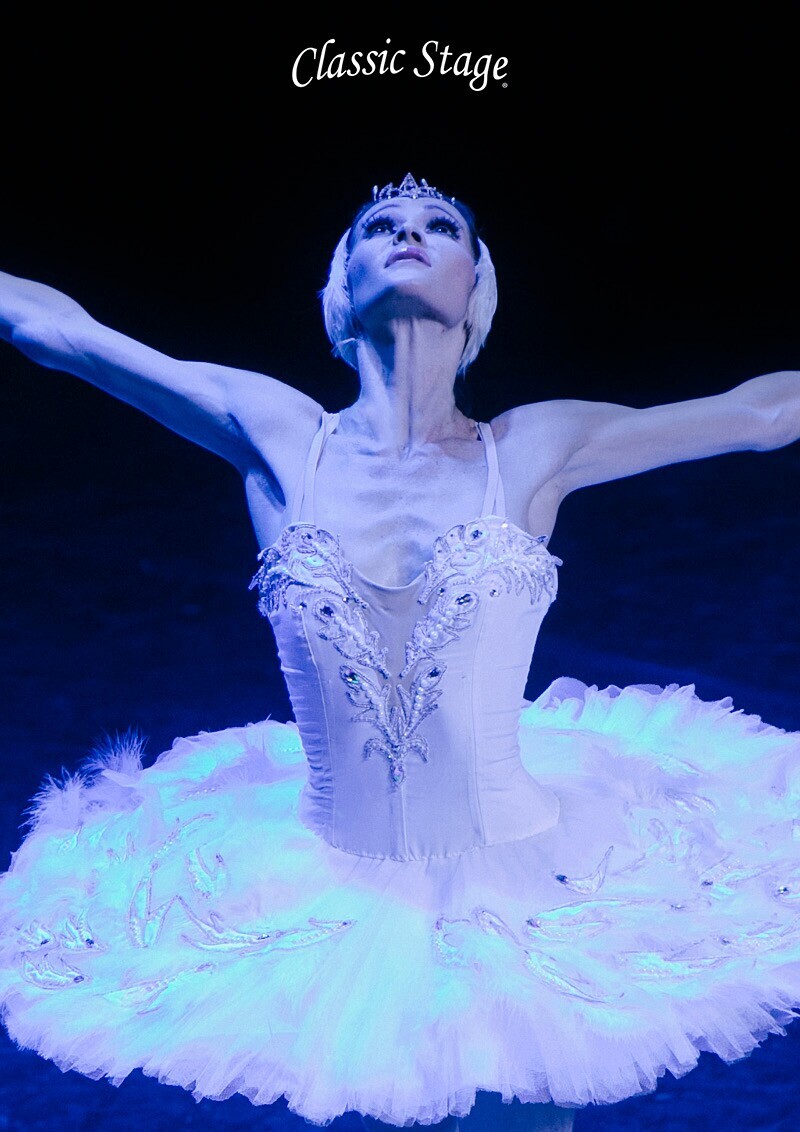 banner 600x849px LAGO DOS CISNES_01 dez  2024