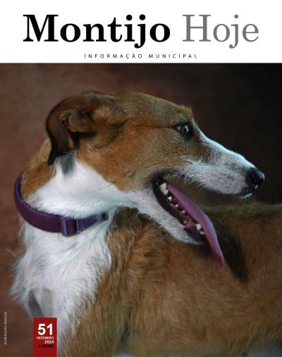 Montijo Hoje_Dezembro 2024_page-0001