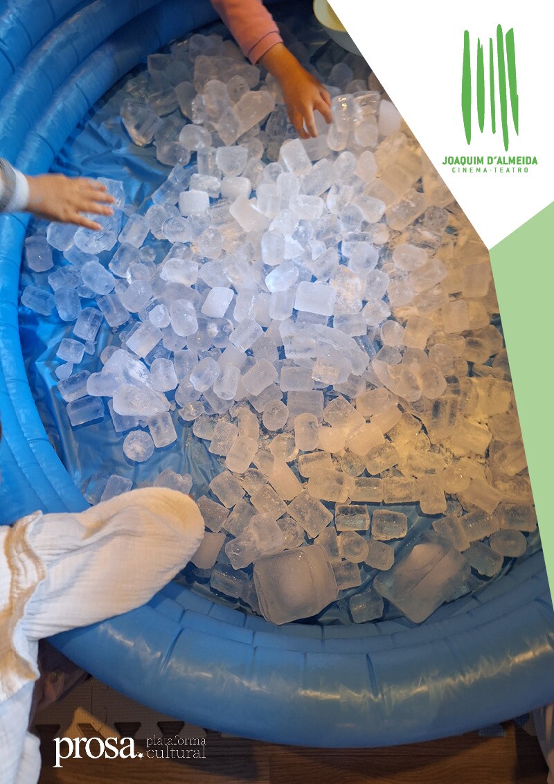 banner_600x849px_pequenos_ativistas_11jan2025