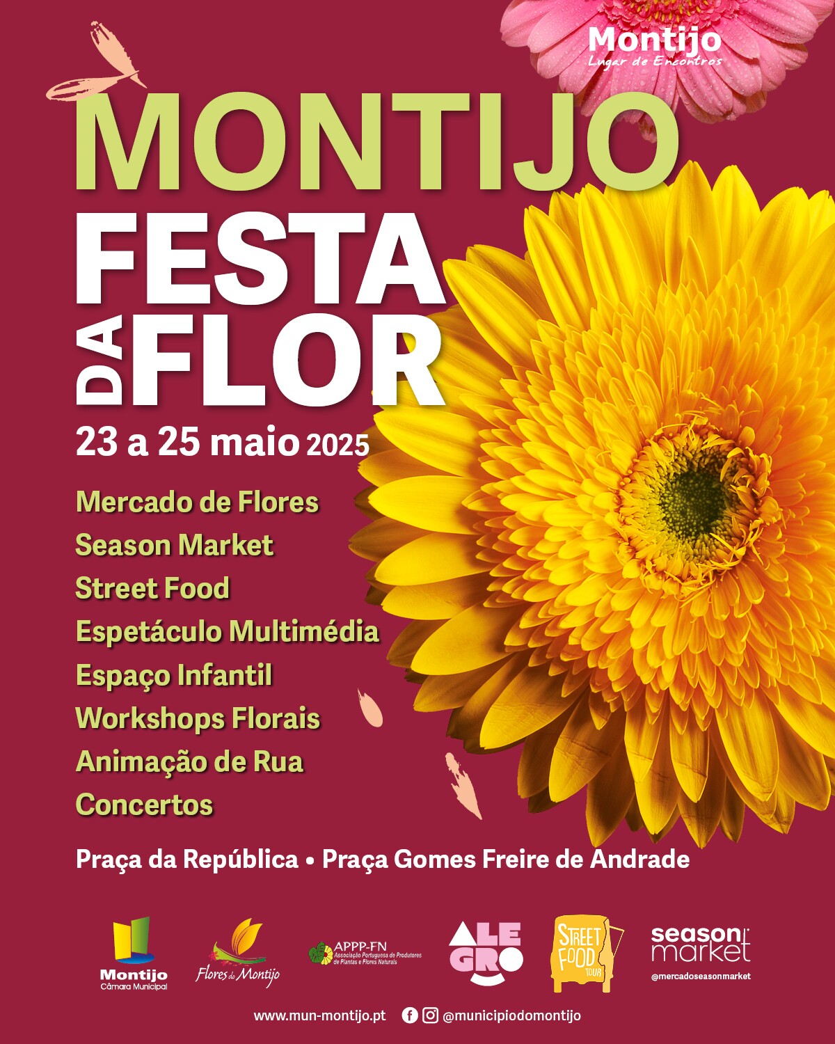 Festa da Flor 2025_Cartaz Facebook